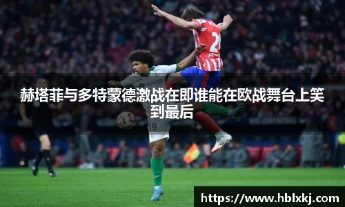 zoty中欧官网